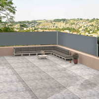 Tenda Laterale Retrattile Antracite 117x1200 cm 318056