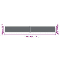 Tenda da Sole Laterale Retrattile Antracite 160x1200 cm 318068