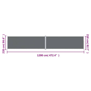 Tenda da Sole Laterale Retrattile Antracite 220x1200 cm 318086