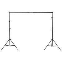 Kit di Illuminazione da Studio con Fondali e Softbox 190237