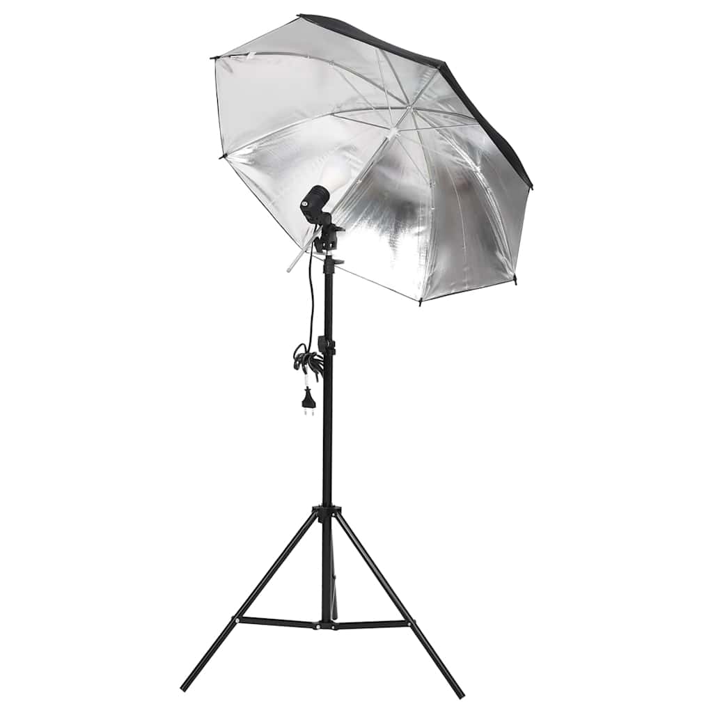 Kit di Illuminazione da Studio Fotografico 190238