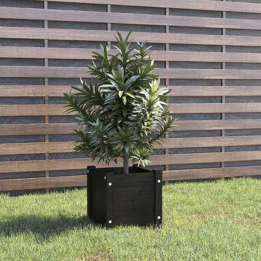 Fioriera da Giardino-Vaso da Esterno-Contenitore per Piante Nera 31x31x31 cm Legno Massello di Pino