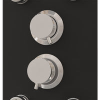 Pannello Doccia in Vetro 25x47,5x130 cm Nero 151420