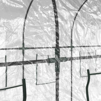 Serra Trasparente 160x400x190 cm PVC Acciaio Verniciato Polvere 317247