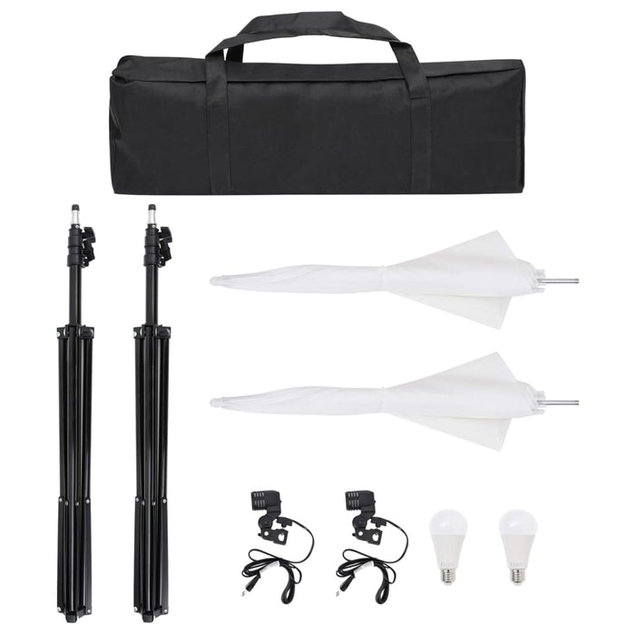 Kit per Studio Fotografico con Set Luci, Fondale e Riflettore 3094661