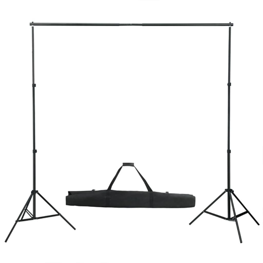 Kit per Studio Fotografico con Set Luci, Fondale e Riflettore 3094691