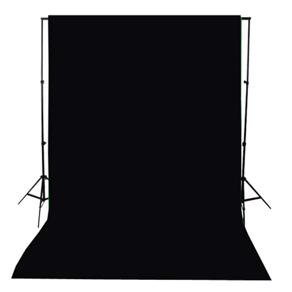 Kit per Studio Fotografico con Set di Luci e Fondale 3094738