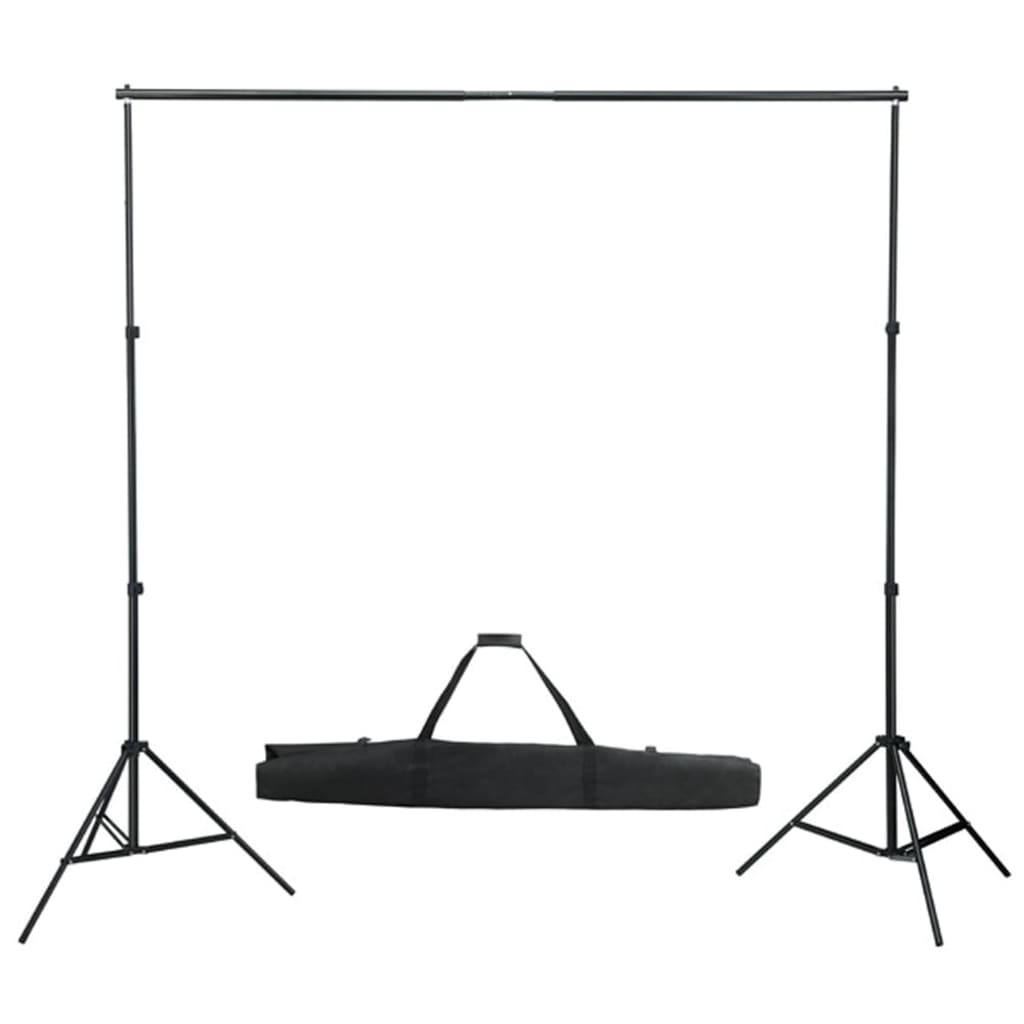 Kit per Studio Fotografico con Set Luci, Fondale e Riflettore 3094759
