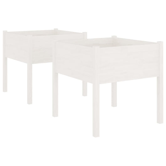 Vaso per fioriera aiuola rialzata piante fiori giardino terrazze set da 2 70 x 70 x 70 cm legno di pino massiccio bianco 02_0039003