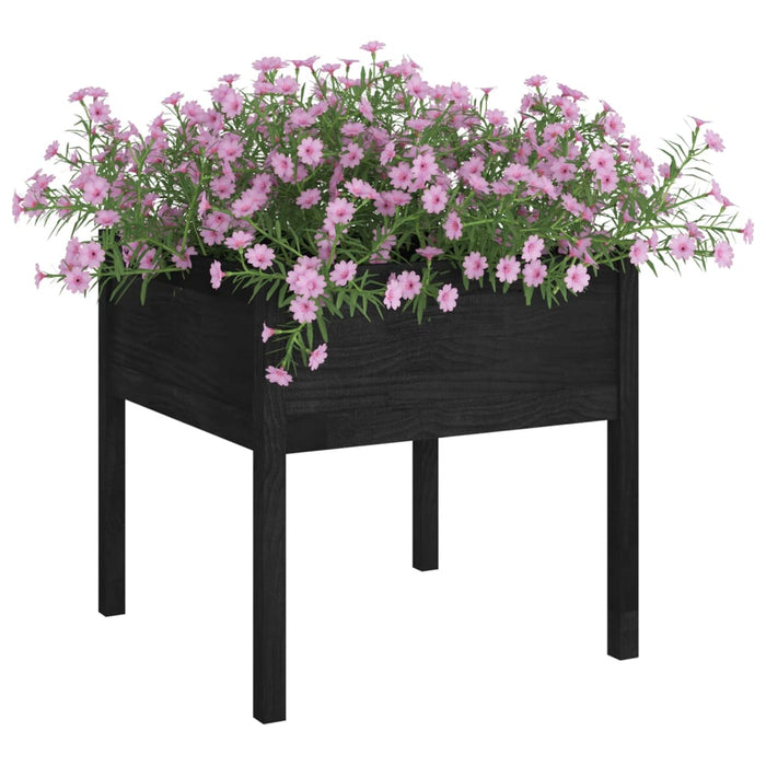 Fioriera da Giardino-Vaso da Esterno-Contenitore per Piante Nera 70x70x70 cm in Legno Massello di Pino