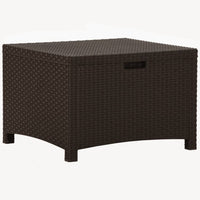 Baule da Giardino 60x54x41 cm in Rattan PP Marrone 318237
