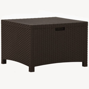 Baule da Giardino 60x54x41 cm in Rattan PP Marrone 318237