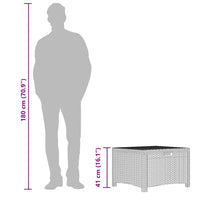 Baule da Giardino 60x54x41 cm in Rattan PP Marrone 318237