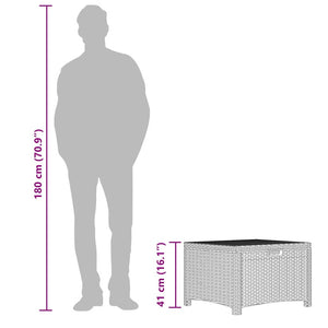 Baule da Giardino 60x54x41 cm in Rattan PP Marrone 318237