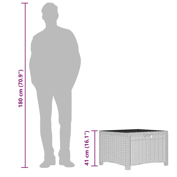 Baule da Giardino 60x54x41 cm in Rattan PP Marrone 318237