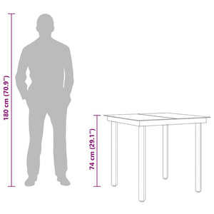 Tavolo da Giardino Nero 80x80x74 cm in Acciaio e Vetro 318746