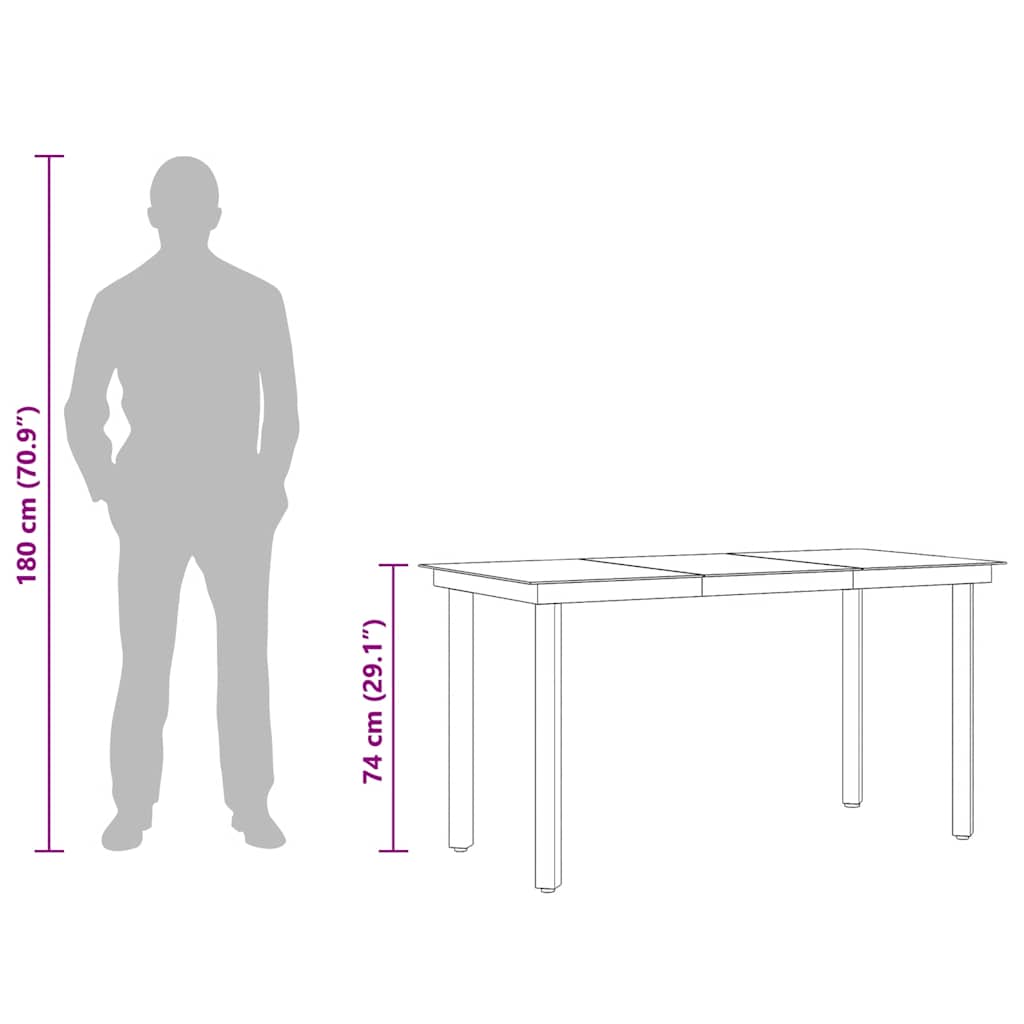 Tavolo da Giardino Nero 140x70x74 cm in Acciaio e Vetro 318747