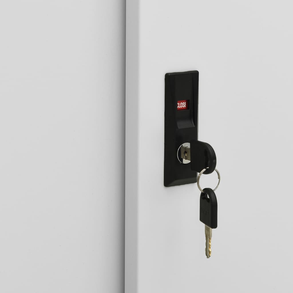 Armadio con Anta Scorrevole e Fioriera Grigio Chiaro in Acciaio cod mxl 53453