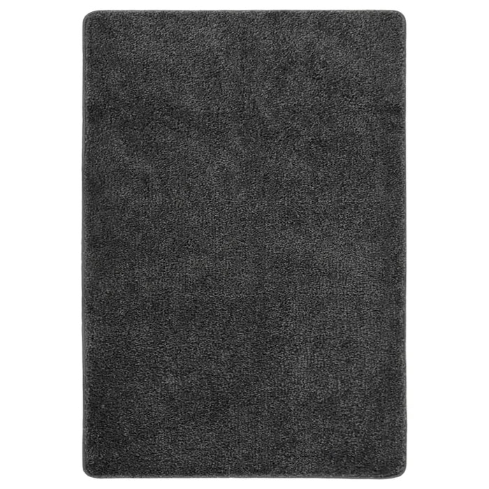 Tappeto Shaggy Grigio Scuro 120x170 cm Antiscivolo cod mxl 72224