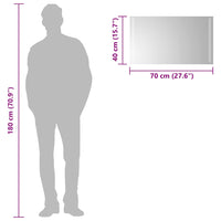 Specchio da Bagno con Luci LED 70x40 cm 151745