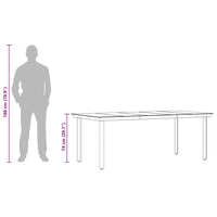 Tavolo da Pranzo da Giardino Nero 200x100x74 cm Acciaio e Vetro 3100107