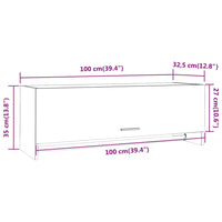 Armadio Grigio Sonoma 100x32,5x35 cm in Legno Ingegnerizzato cod mxl 75683