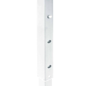 Tenda per Feste Pieghevole con Pareti Laterali Bianco 2x2 m cod mxl 38336