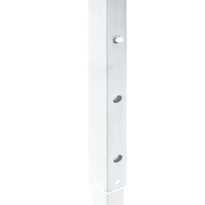 Tenda per Feste Pieghevole con Pareti Laterali Bianco 2x2 m 93503