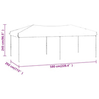 Tenda per Feste Pieghevole Blu 3x6 m 93535