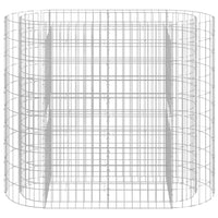 Gabbione con Letto Rialzato in Acciaio Zincato 120x50x100 cm 152032