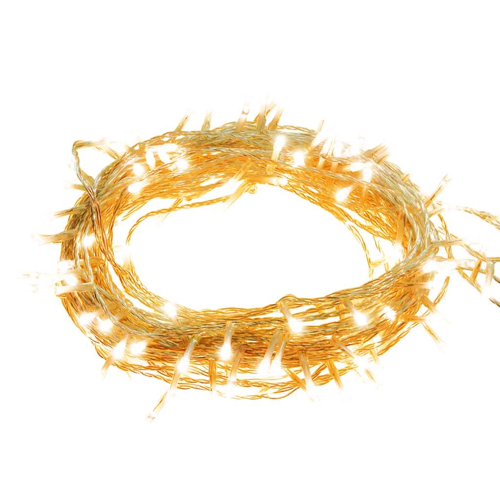 Stringa LED con 2000 Luci LED Bianco Caldo 200 m PVC 343233