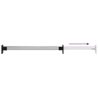 Aste Telescopiche per Armadi 2 pz Argento 58-100 cm