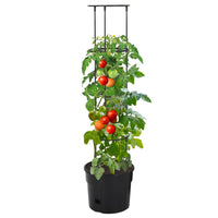 Vaso a Torre per Pomodori-Fioriera da Esterno-Contenitore per Piante Antracite ?29,5x115 cm Polipropilene