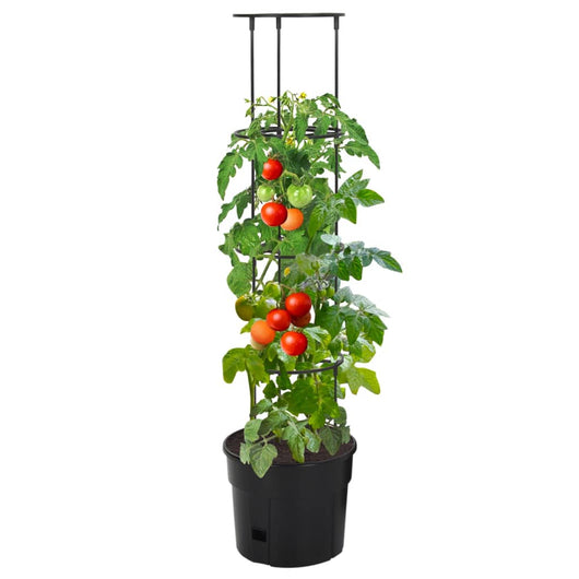 Vaso a Torre per Pomodori-Fioriera da Esterno-Contenitore per Piante Antracite ?29,5x115 cm Polipropilene