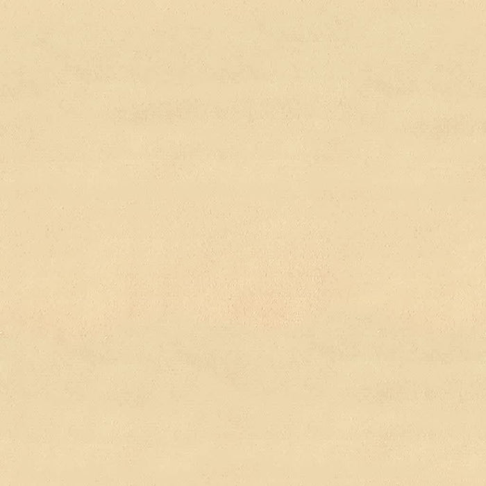 Sedie da Pranzo 2 pz Crema in Velluto cod mxl 29061