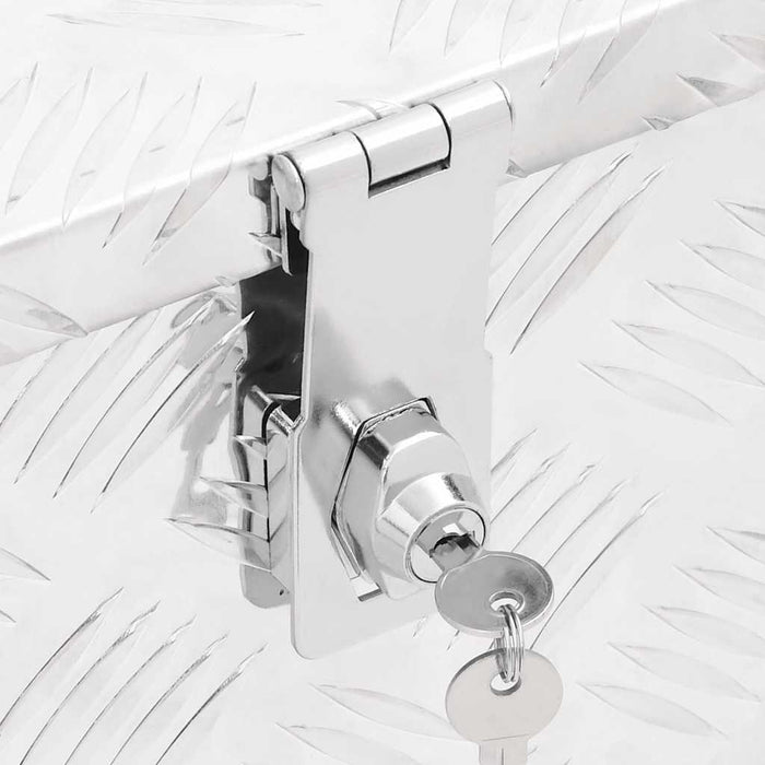 Contenitore Portaoggetti Argento 100x55x37 cm in Alluminio 152256