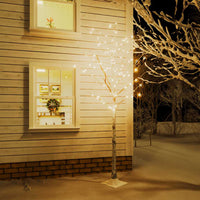 Betulla con LED Bianco Caldo 240 LED 300 cm 345146