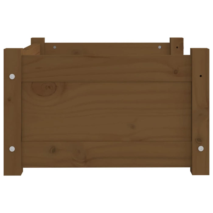 Cuccia per Cani Ambra 55,5x45,5x28 cm Legno Massello di Pino 821445