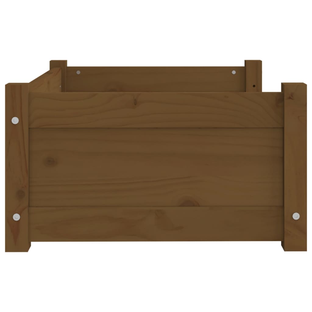 Cuccia per Cani ambra 65,5x50,5x28cm in Legno Massello di Pino 821450