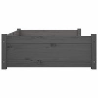 Cuccia per Cani Grigia 95,5x65,5x28cm in Legno Massello di Pino 821459