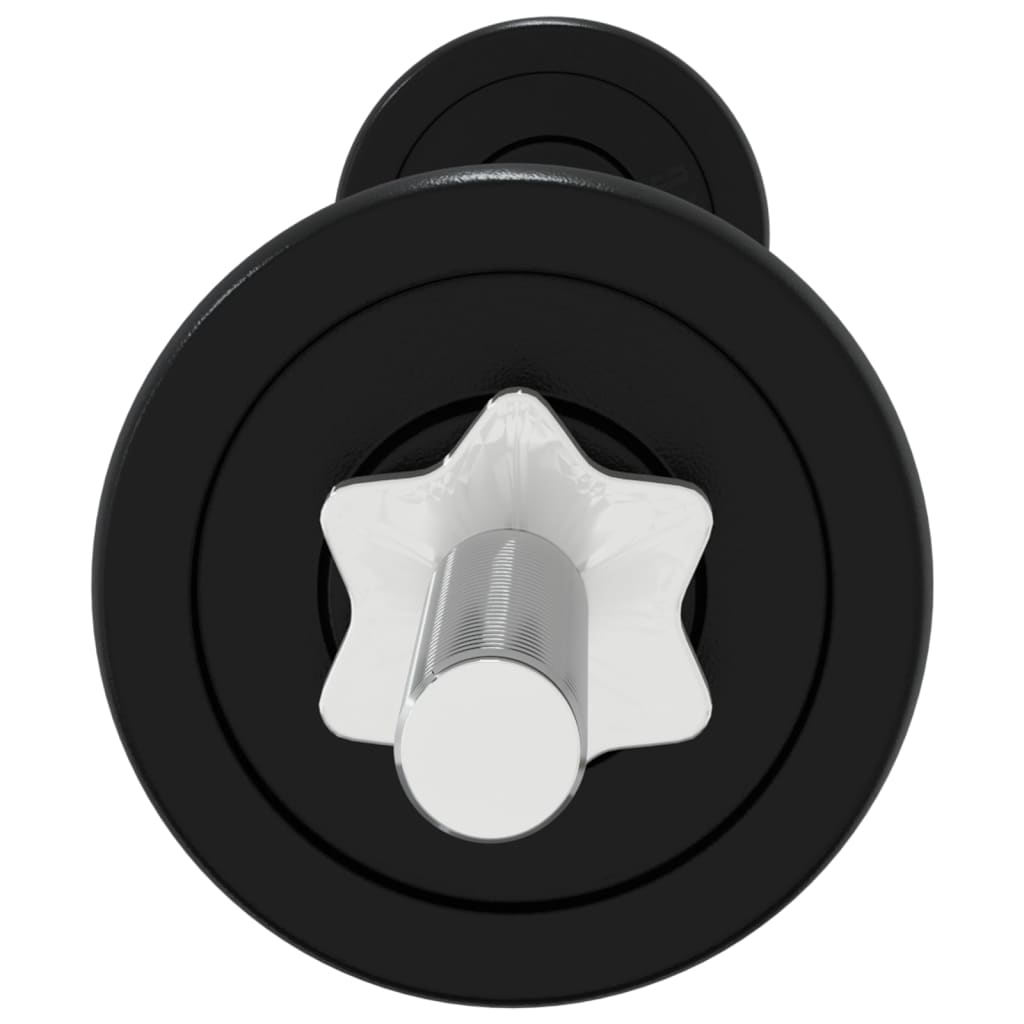 Set Bilanciere e Manubri 30 kg in Ghisa 93635