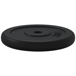 Disco per Pesi 20 kg in Ghisa 93643