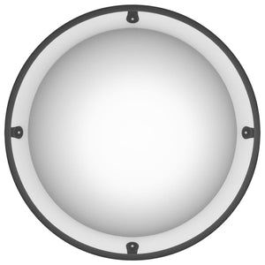 Specchio a Cupola Piena per Traffico Ã˜30 cm in Acrilico cod mxl 74054