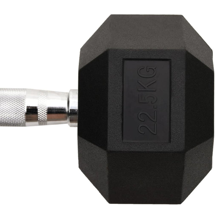 Manubrio 22,5 kg Ghisa 93609