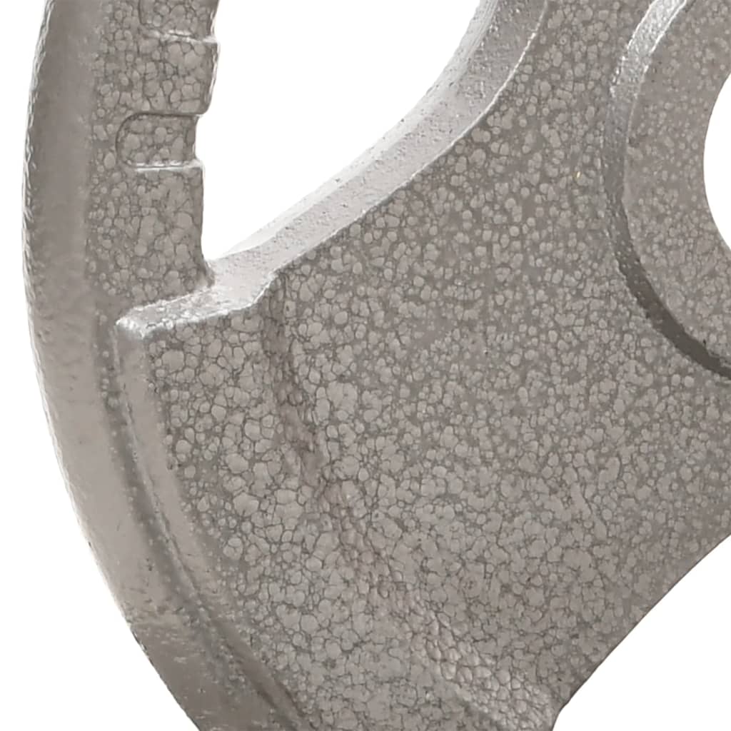 Dischi Pesi Olimpici 2 pz 20 kg in Ghisa 93616