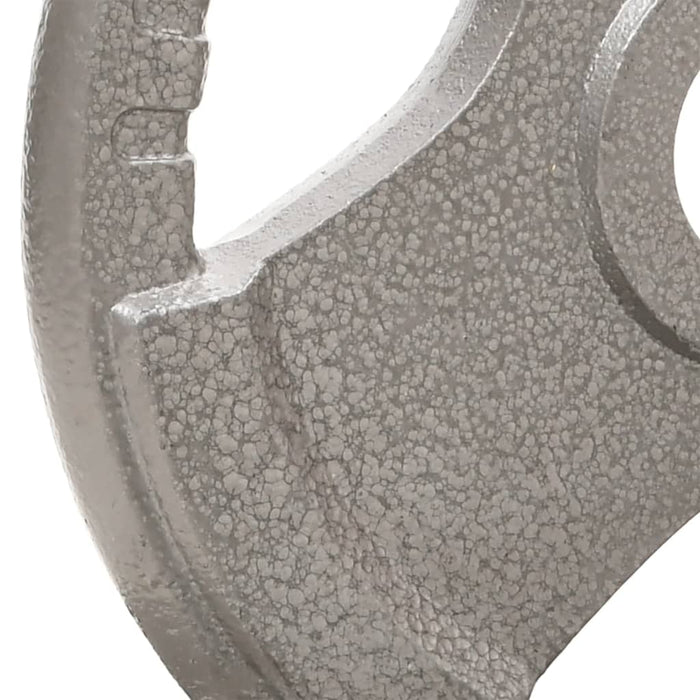 Dischi Pesi Olimpici 2 pz 20 kg in Ghisa 93616