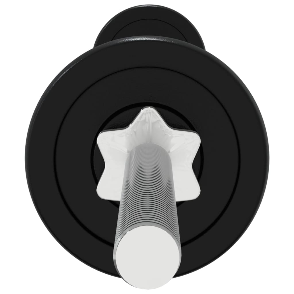 Set Bilanciere e Manubri 30 kg in Ghisa 93634