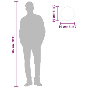 Specchio da Parete-Specchio a Muro-Specchio Decorativo Argento ? 30 cm Rotondo