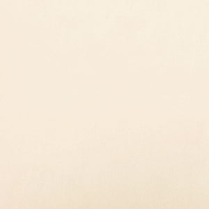 Cuscini Decorativi 2 pz Crema 40x40 cm in Velluto