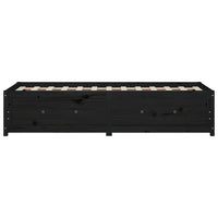 Dormeuse Nera 75x190cm Small Single Legno Massello di Pino 821603